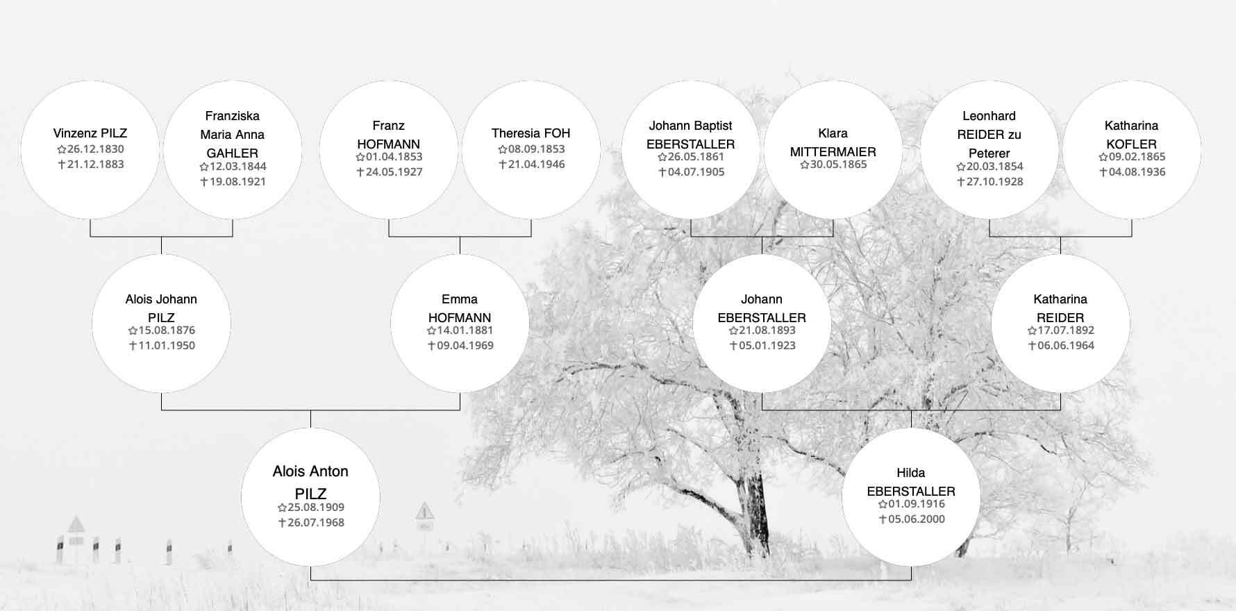 Stammbaum Pilz-Eberstaller